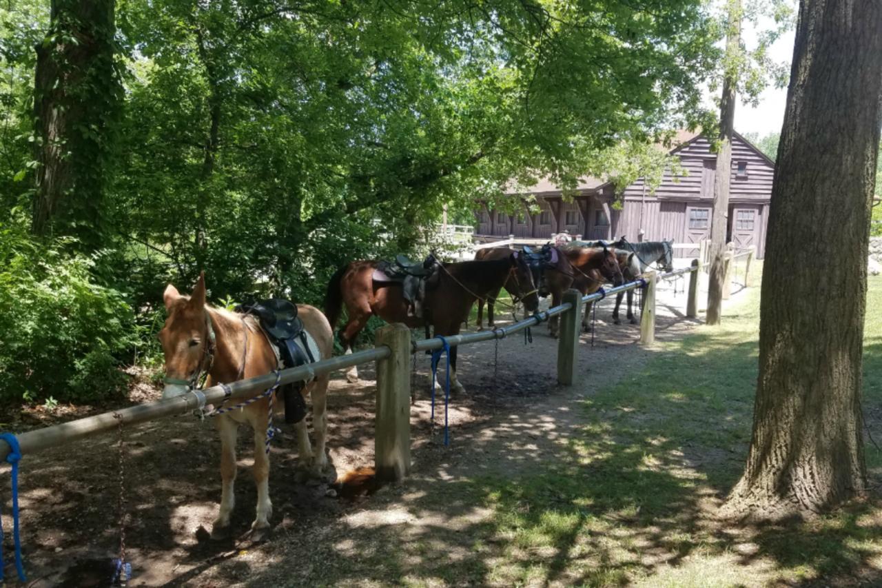 Potawatomi Inn & Cabins Ангола Экстерьер фото